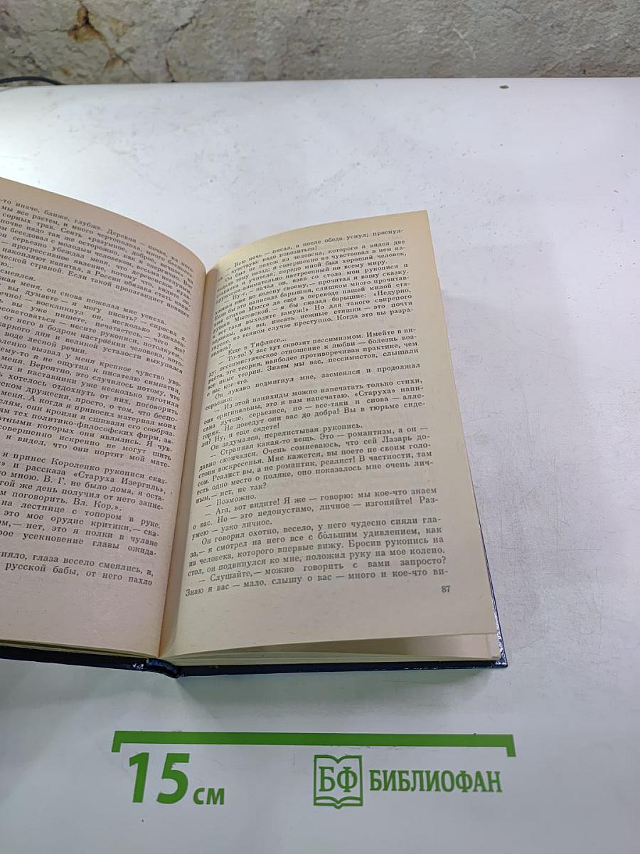 Литературные портреты