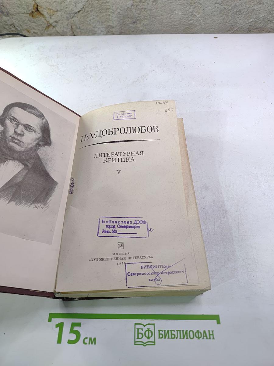 Литературная критика