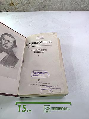 Литературная критика