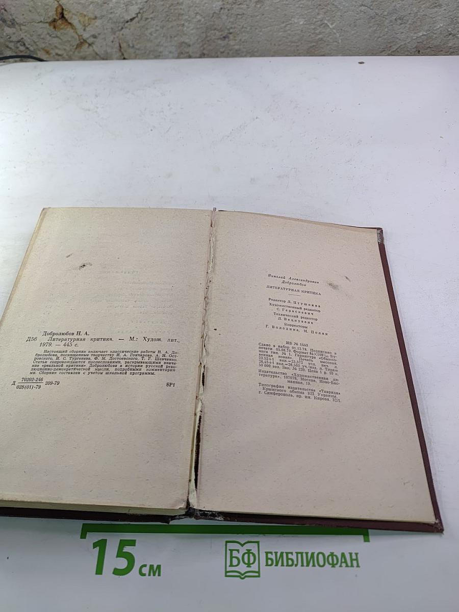 Литературная критика