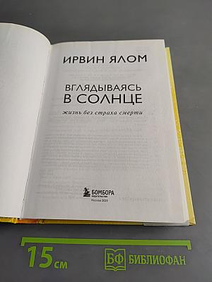 Вглядываясь в солнце. Жизнь без страха смерти