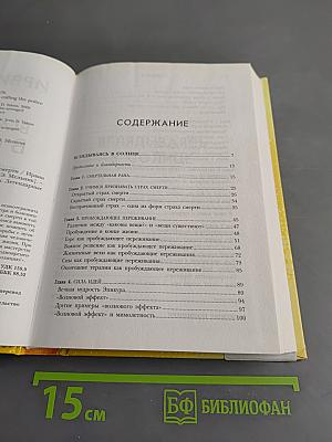 Вглядываясь в солнце. Жизнь без страха смерти