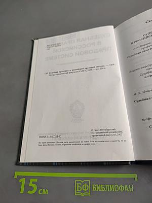 Судебная практика в российской правовой системе