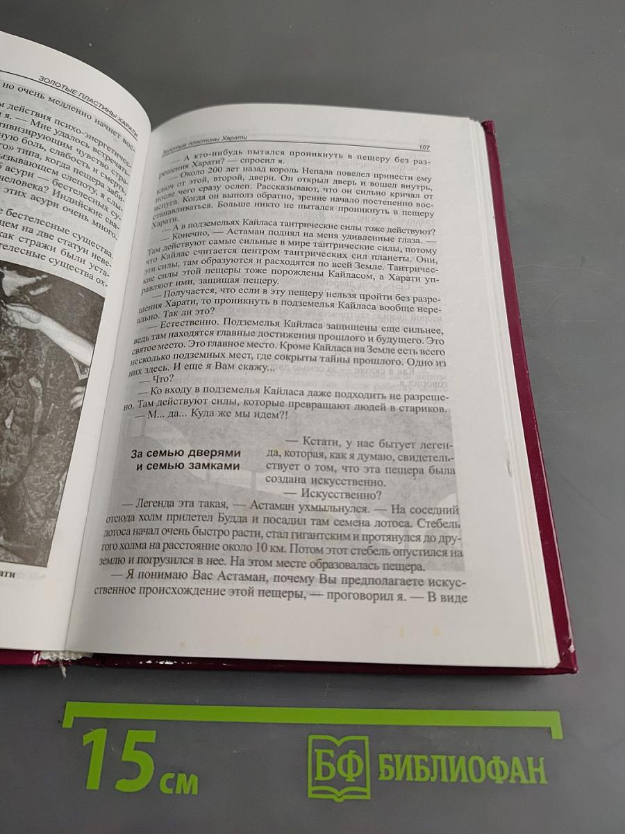 В поисках города богов. Том 2. Золотые пластины Харати