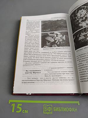 В поисках города богов. Том 2. Золотые пластины Харати