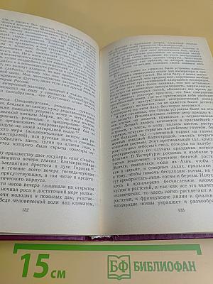 Николаевская Россия