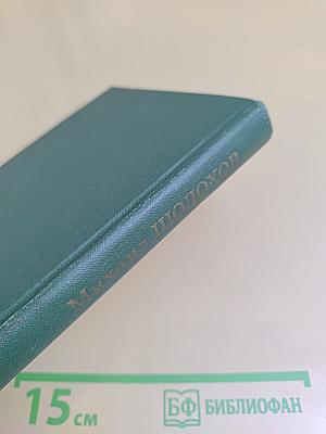 Тихий Дон. Книга вторая. Том 2