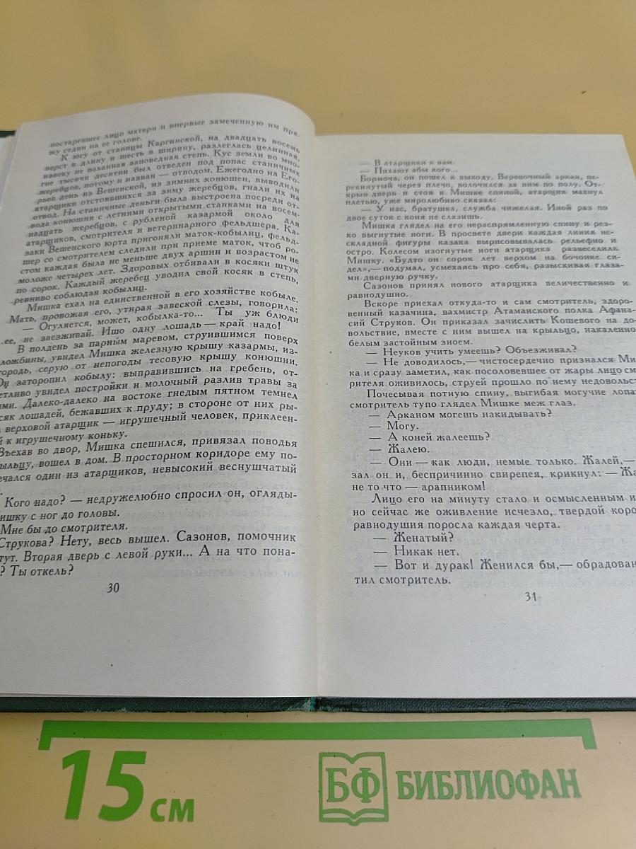 Тихий Дон. Книга третья. Том 3