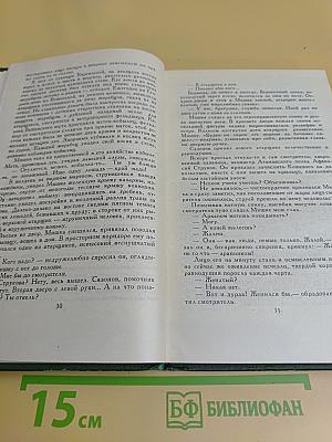 Тихий Дон. Книга третья. Том 3