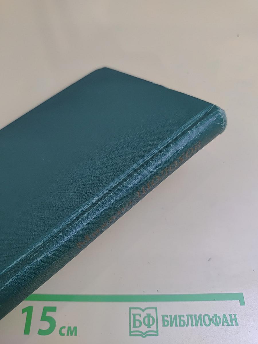 Тихий Дон. Книга третья. Том 3