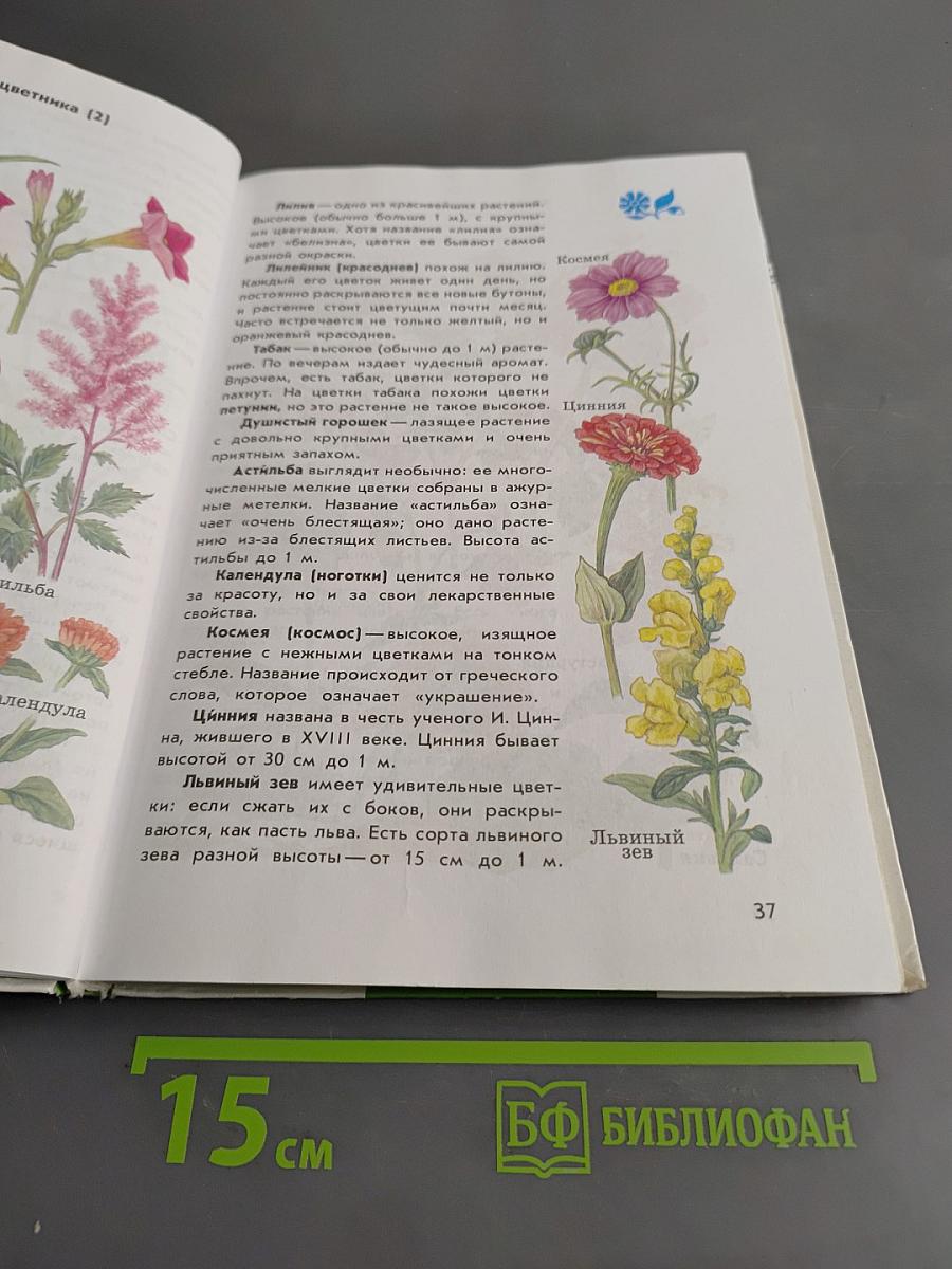 От Земли до Неба. Атлас-определитель