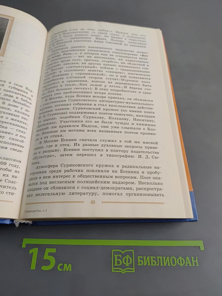 Литература. 9 класс. Учебник-хрестоматия для общеобразовательных учреждений. Часть 2