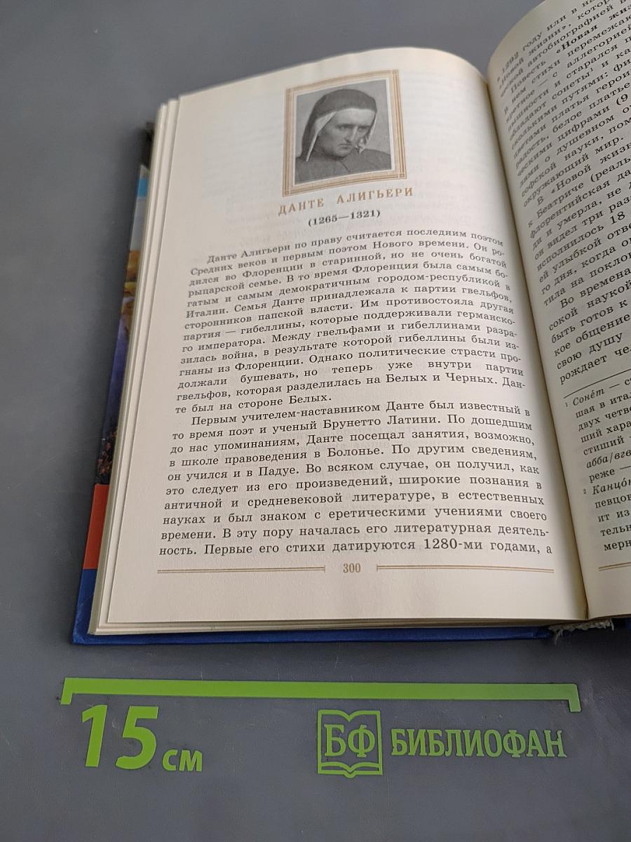 Литература. 9 класс. Учебник-хрестоматия для общеобразовательных учреждений. Часть 2