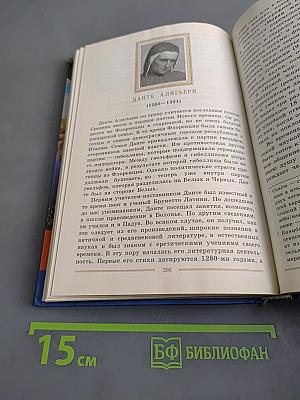 Литература. 9 класс. Учебник-хрестоматия для общеобразовательных учреждений. Часть 2
