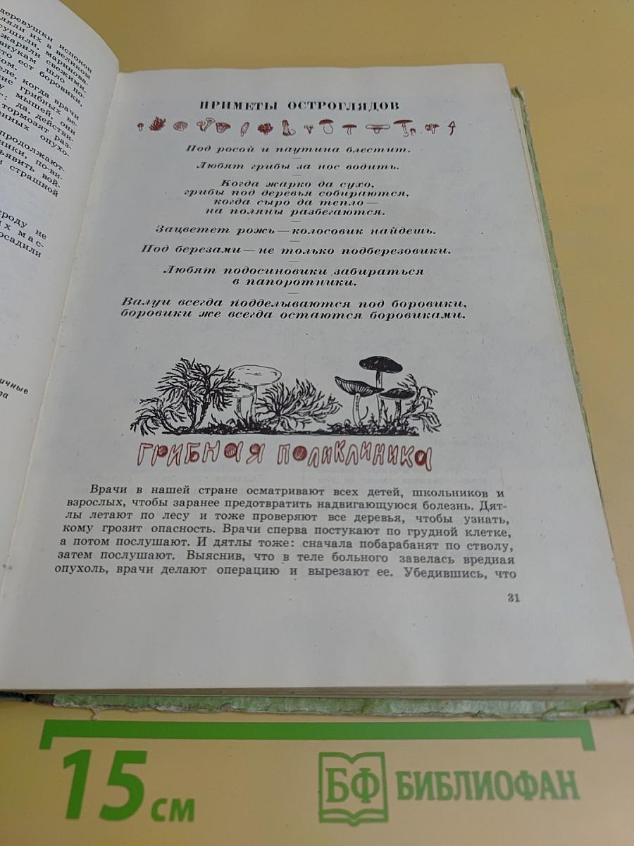 Лесное счастье