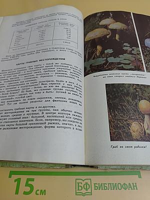 Лесное счастье