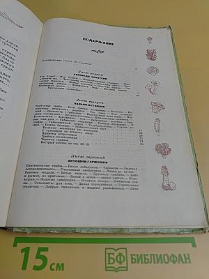 Лесное счастье