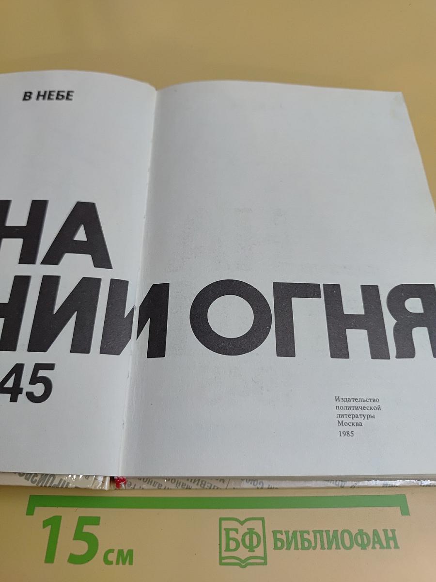 Комиссары на линии огня, 1941-1945. В небе