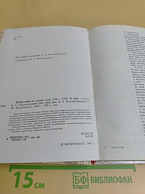 Комиссары на линии огня, 1941-1945. В небе