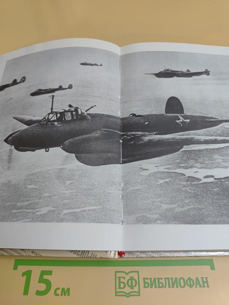 Комиссары на линии огня, 1941-1945. В небе