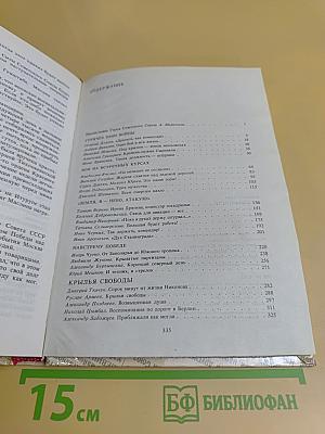 Комиссары на линии огня, 1941-1945. В небе