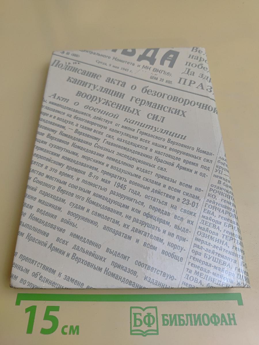 Комиссары на линии огня, 1941-1945. В небе