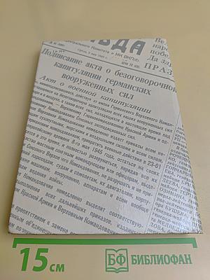 Комиссары на линии огня, 1941-1945. В небе