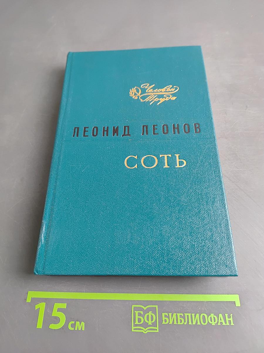 Соть