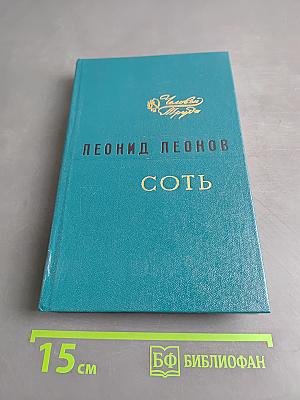 Соть