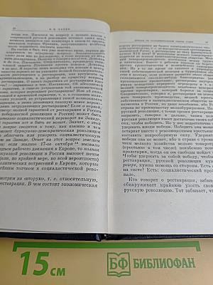 Полное собрание сочинений. Издание пятое. Том 13. Май — сентябрь 1906