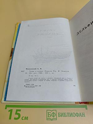 Трава и солнце