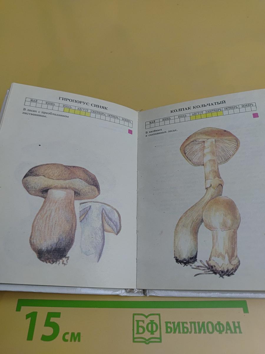 Практический справочник грибника
