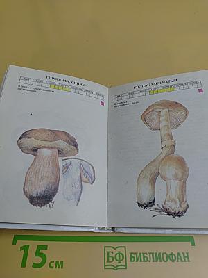 Практический справочник грибника
