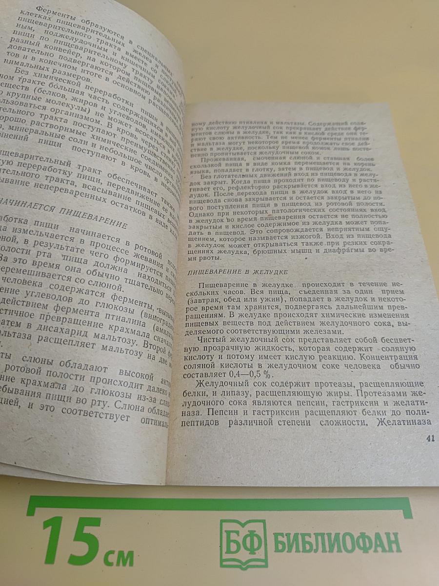 Как правильно питаться
