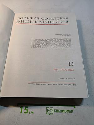 Большая Советская Энциклопедия. Том 10. Ива – Итальянцы