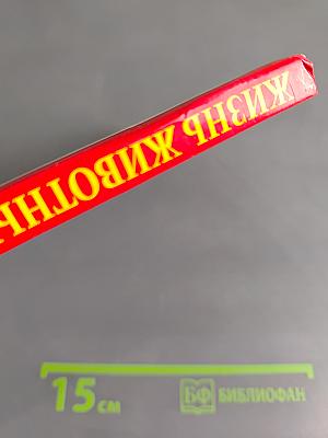 Жизнь животных. Пресмыкающиеся