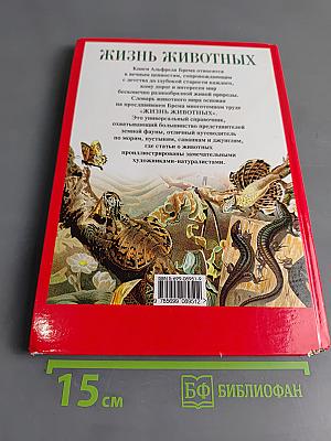 Жизнь животных. Пресмыкающиеся