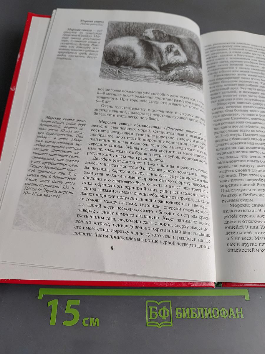 Жизнь животных. Млекопитающие. Т.4