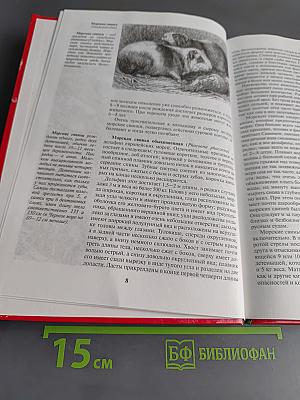 Жизнь животных. Млекопитающие. Т.4