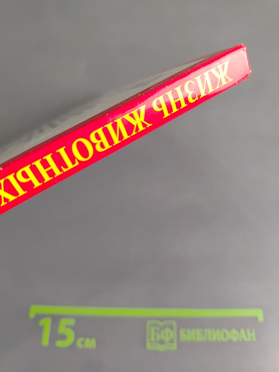 Жизнь животных. Земноводные. А-Я