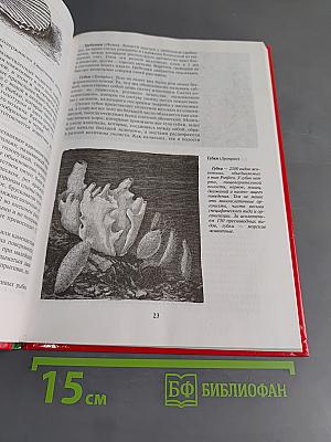 Жизнь животных. Рыбы. А-Я