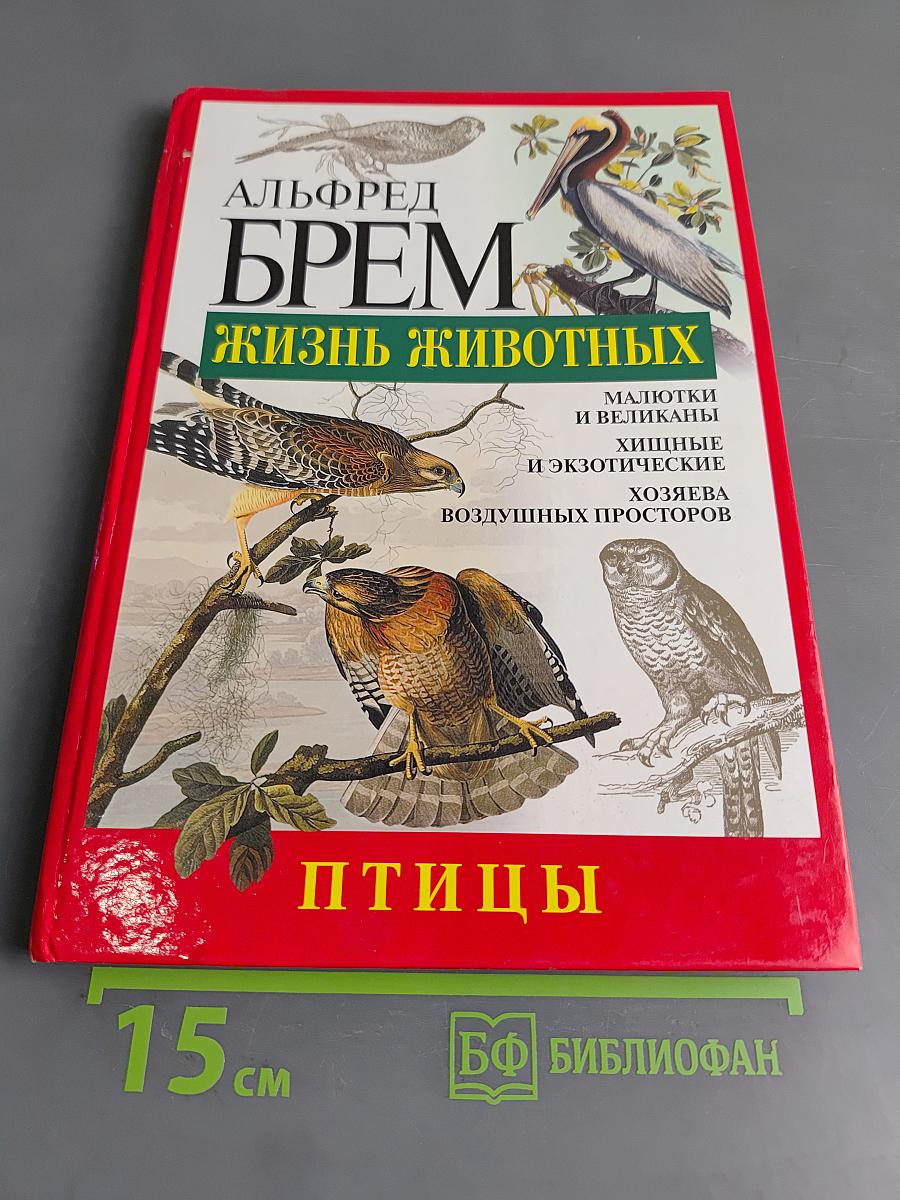 Жизнь животных. Птицы. Л-Я