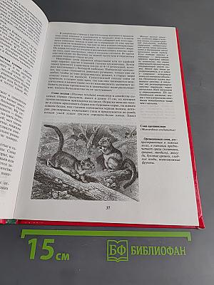 Жизнь животных. Млекопитающие. Том 1. С-Я