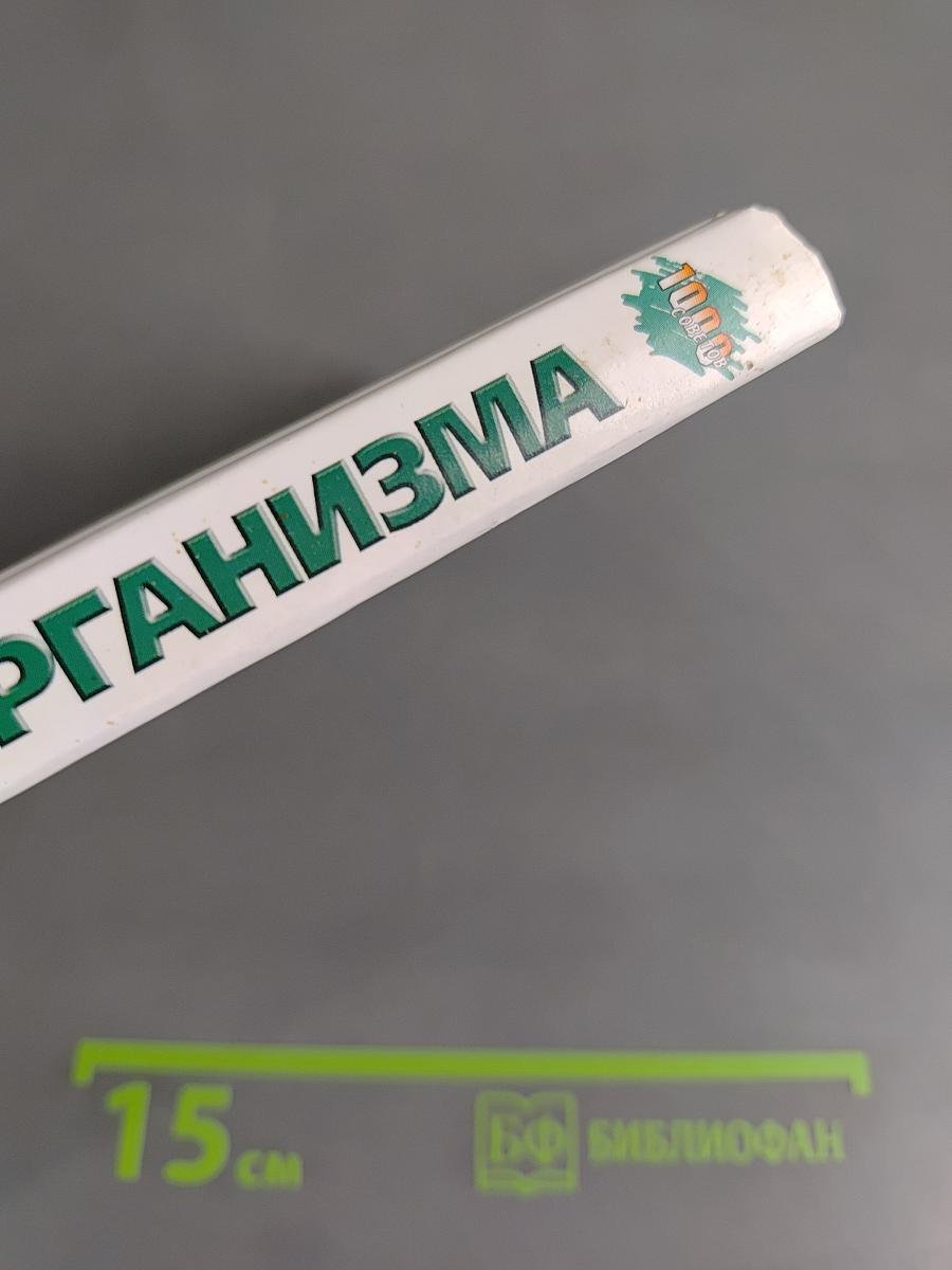 Очищение организма