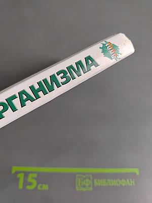 Очищение организма