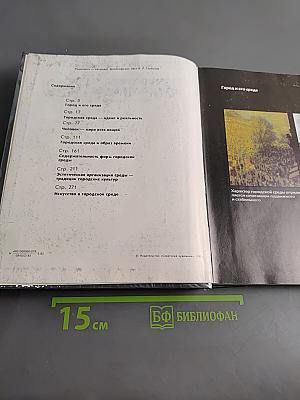 Искусство, среда, время