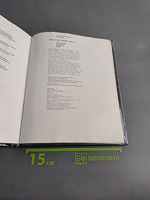 Искусство, среда, время