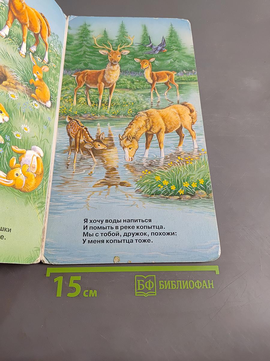 Жеребёнок в лесу