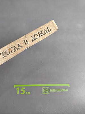 Тогда, в дождь