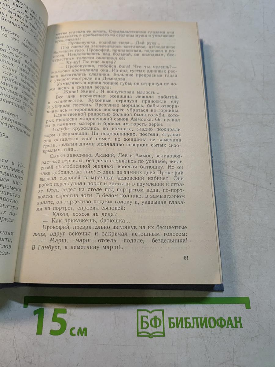 Каменный пояс. Книга вторая. Наследники